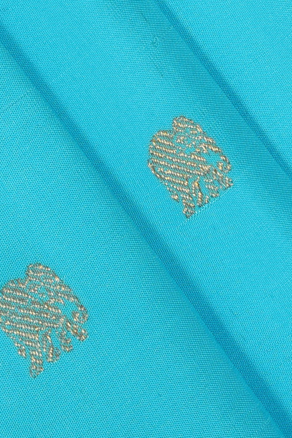 Image of Kanchipattu Sky Blue Brocade Saree